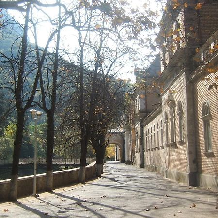 Pensiunea Floare de Colt Băile Herculane Exterior foto