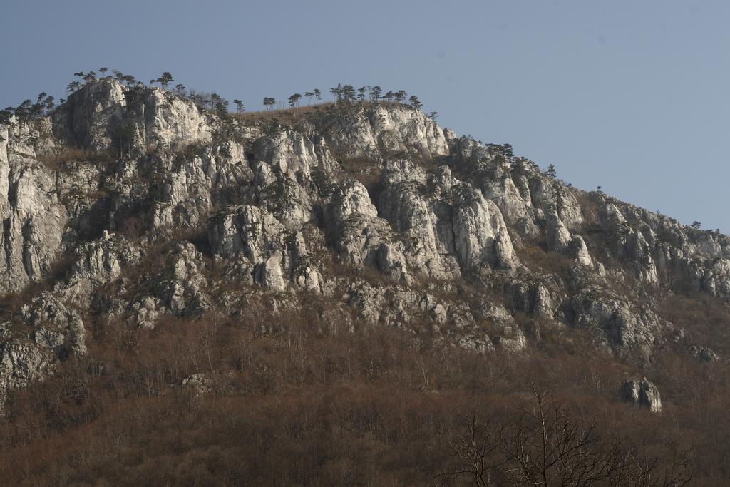 Pensiunea Floare de Colt Băile Herculane Exterior foto