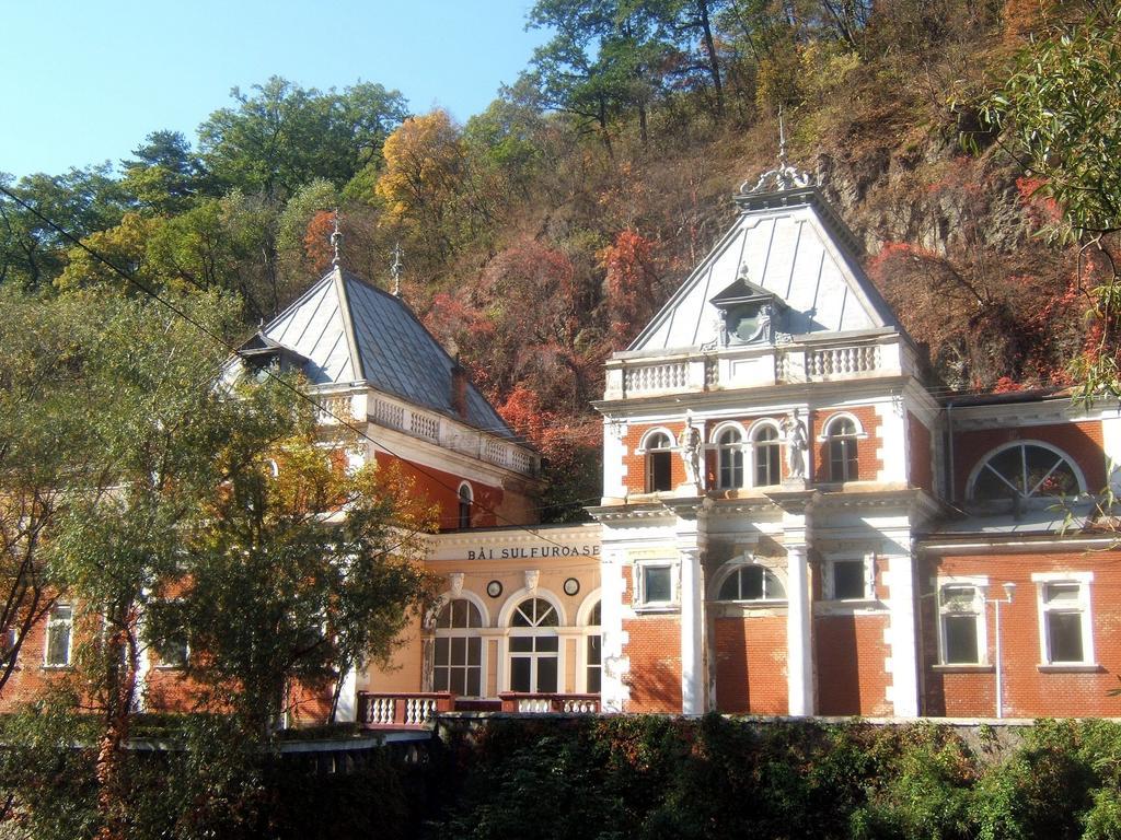 Pensiunea Floare de Colt Băile Herculane Exterior foto