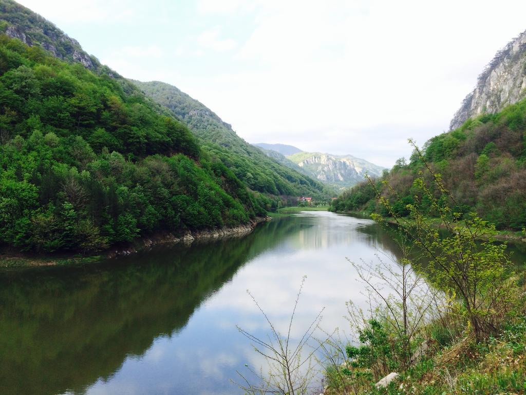 Pensiunea Floare de Colt Băile Herculane Exterior foto