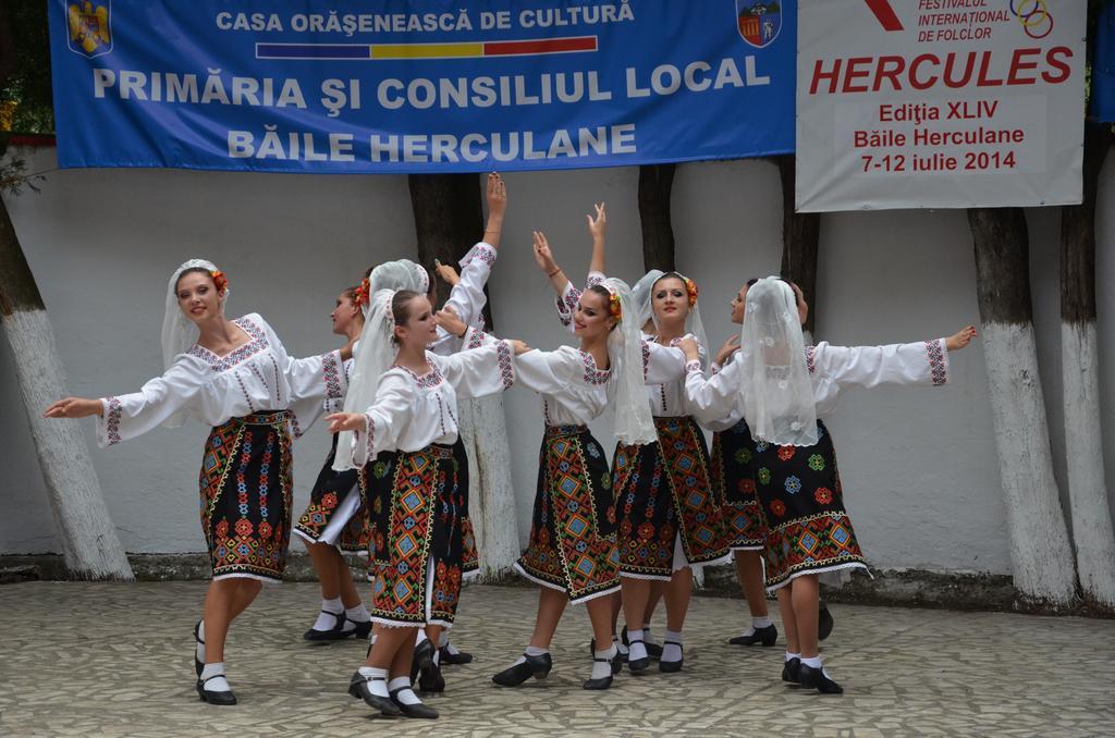 Pensiunea Floare de Colt Băile Herculane Exterior foto